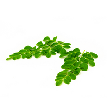 Load image into Gallery viewer, 100% Jamaican Moringa Pills (Oral) - 60Pills